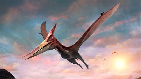 Name Of Flying Dinosaurs Types