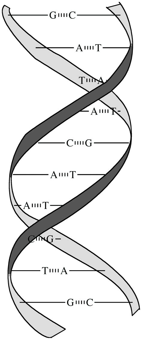 Illustrated Glossary of Organic Chemistry - Supercoiling