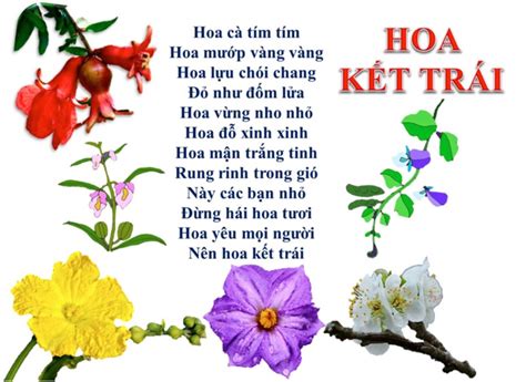 Bài thơ Hoa kết trái - Kho Tài Liệu