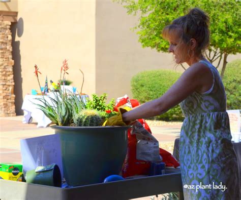 How to Plant a Cactus In a Pot | Cactus Farm | azplantlady.com