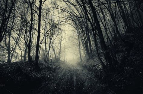 Dark Forest Path Background