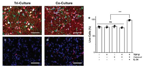 Biomedicines | Free Full-Text | Primary Cortical Cell Tri-Culture-Based ...