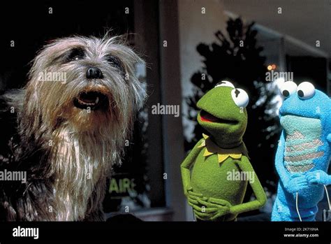 PILGRIM,KERMIT,CROAKER, KERMIT'S SWAMP YEARS, 2002 Stock Photo - Alamy