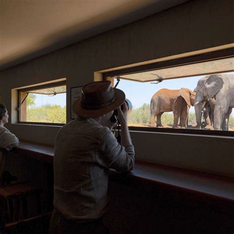 Rhulani Safari Lodge | Activities included in your stay