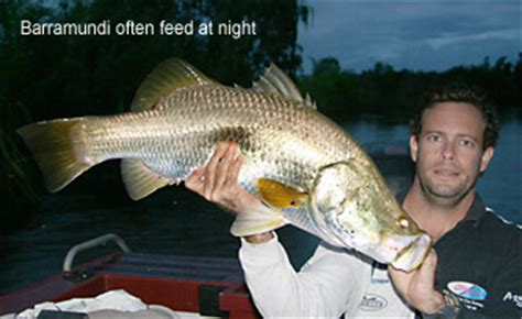 Barramundi Habitat Archives - Barramundi Fishing NTBarramundi Fishing NT