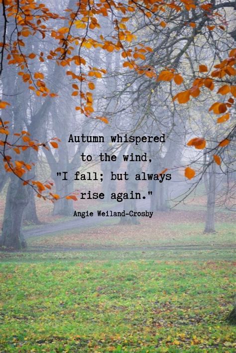 50+ Autumn Quotes & Fall Quotes and Captions to Enchant and Deepen the ...