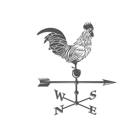 Wind Vane Clip Art, Vector Images & Illustrations - iStock