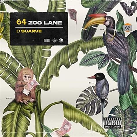 D Suarve – 64 Zoo Lane Lyrics | Genius Lyrics