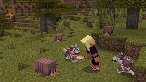 Minecraft armadillo guide: How to find, breeding, uses, and more