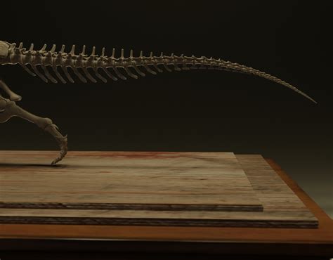 3D file Majungasaurus skeleton 💀・3D printer model to download・Cults