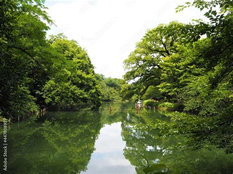 Inokashira Park in Tokyo, Japan Stock Photo | Adobe Stock