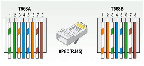 Cat 5e Rj45 Wiring