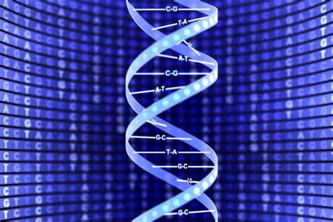 Dna Double Helix Structure Diagram