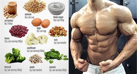 4 Cheap Protein Foods for Muscle Growth – all-bodybuilding.com