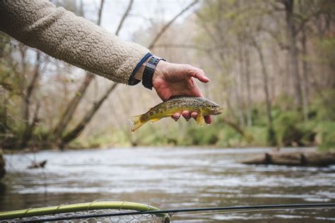 7 Tips to Improve Your Fly Fishing Photography - Flylords Mag