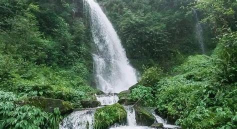 Mossy Waterfalls, Mussoorie - Discover India