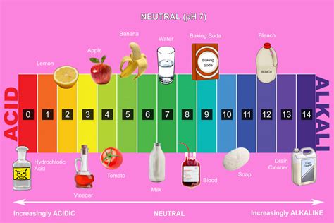 There are 2 indicators litmus paper or universal indicator