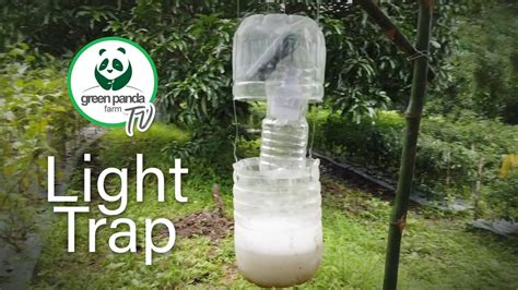 How We Made an Easy DIY Insect Light Trap for our Farm - YouTube