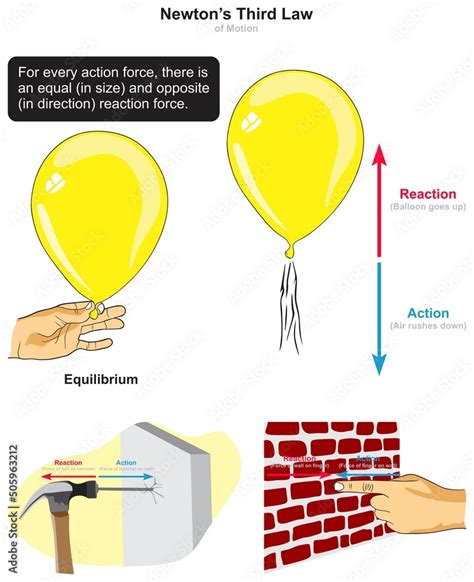 Newton third law of motion infographic diagram example balloon hammer ...