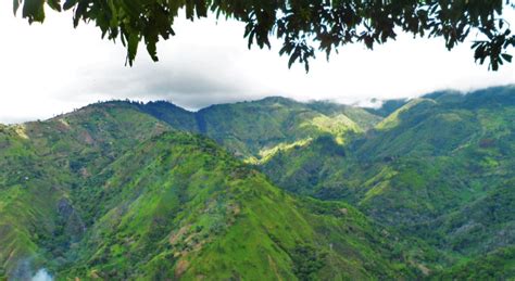 Blue Mountain Peak - Frenchman’s Cove - Jamaica