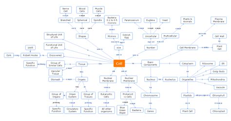 Nucleus Concept Map