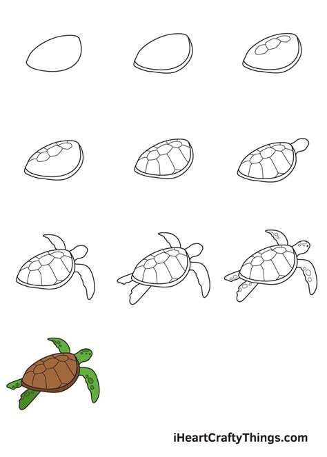 How to Draw a Turttle Easy How to Draw a Turtle Easy - Kramer Suliterty57