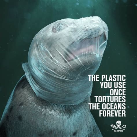 Images of tortured sea animals show dangers of plastics on marine life ...