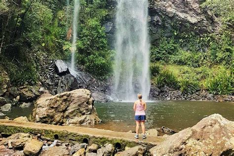 Hiking in Springbrook National Park, QLD | Snowys Blog