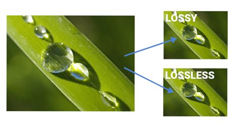 lossless vs lossy image | Differbetween