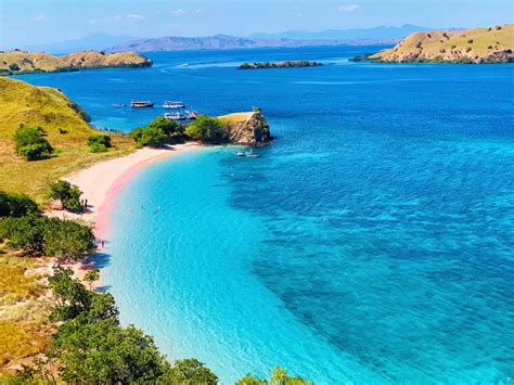 Komodo Island Pink Beach