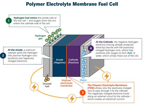 Hydrogen Fuel Cell Car Diagram