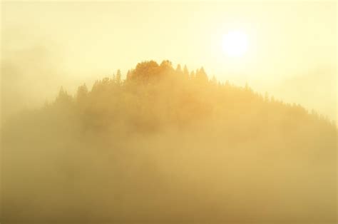 Premium Photo | Fog and mountain morning landscape