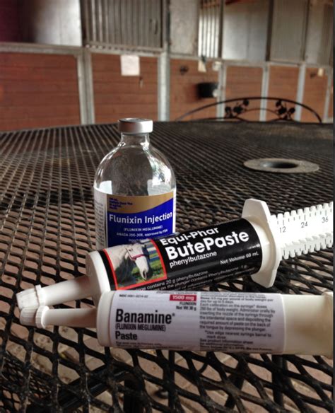 Bute & Banamine – Commonly Used & Misused in Horses – Horse Side Vet Guide