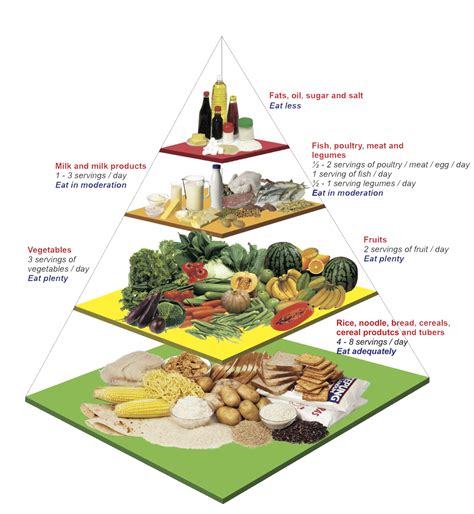 Contoh Desain Poster Makanan Seimbang Pyramid - IMAGESEE