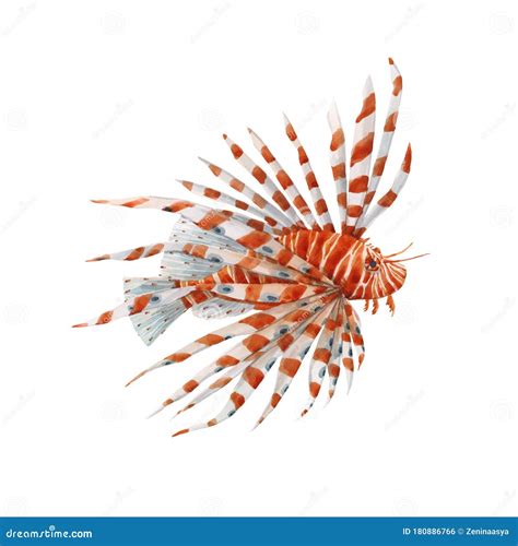 Lion Fish Cartoon Vector Illustration | CartoonDealer.com #68367444