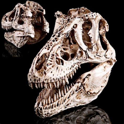 Large Fossil Dinosaur Replica Skull Species: T-rex - Etsy