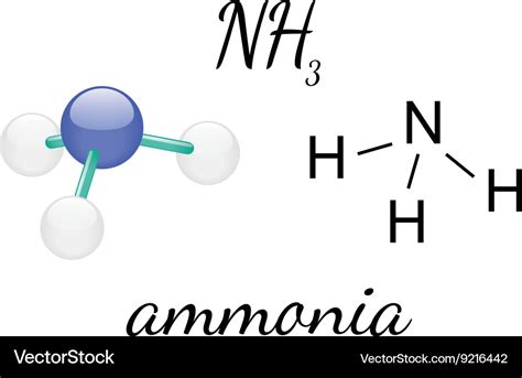 Structure Of Ammonia Molecule