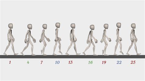 Walk cycle reference with frame number (24fps) : r/animation