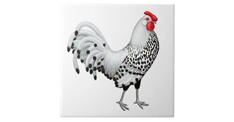 Silver Spangled Hamburg Rooster Tile | Zazzle