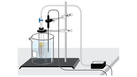 Fermentation with Yeast > Experiment 11 from Investigating Biology ...