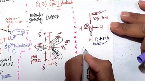 The 3-D structure of Ammonium Ion (NH4+) - YouTube