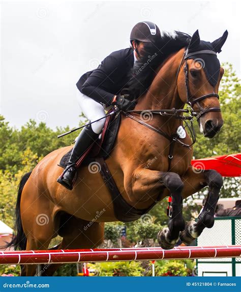 Horse jumping competition editorial stock image. Image of jump - 45121804