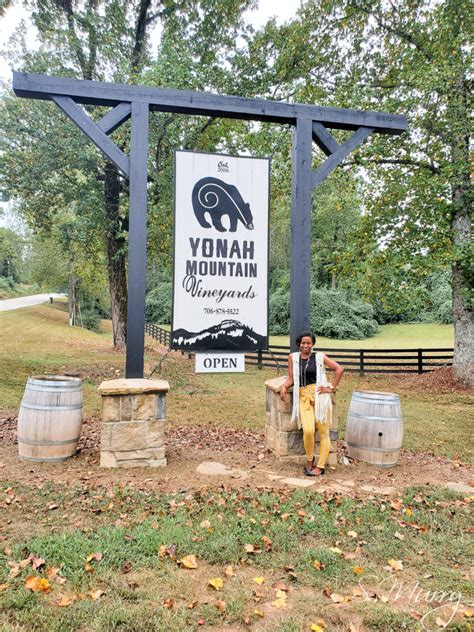 Yonah Mountain Vineyards Tasting Experience - The Nosey Nomad