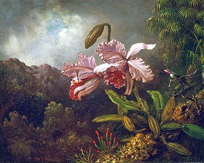 Orchids in a Jungle | Martin Johnson Heade | Giclée Canvas Print 9347 ...