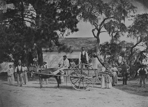 File:James Hopkinsons Plantation Slaves Going to Field.jpg - Wikimedia ...