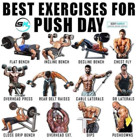 BEST EXERCISES FOR PUSH DAY PLEASE FOLLOW AND LIKE FOLLOW @workout ...