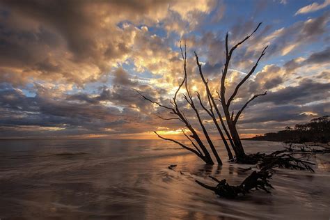 Driftwood Beach Sunrise Photograph by Stefan Mazzola - Pixels