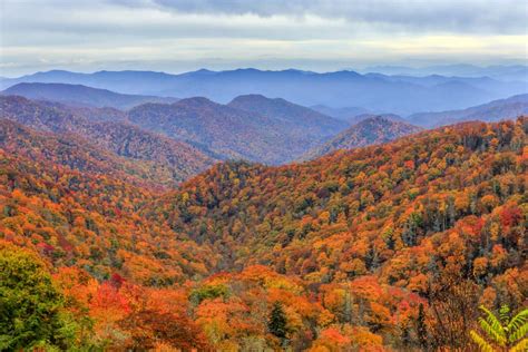 Top 4 Places to View Fall Colors in the Smoky Mountains