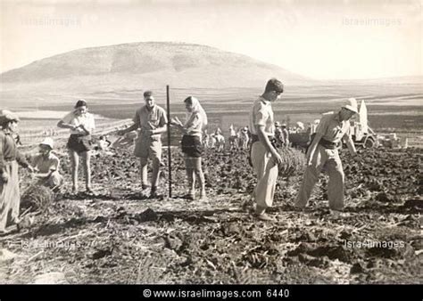 establishment of kibbutz dovrat 1946. Israel History, Jewish History ...