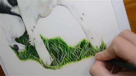 Grass Drawing Pencil